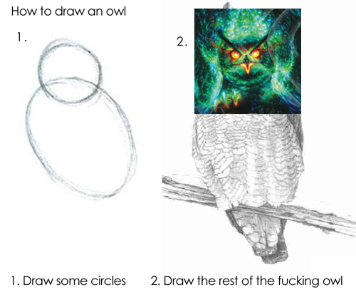 owl