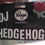 DJhedgehog